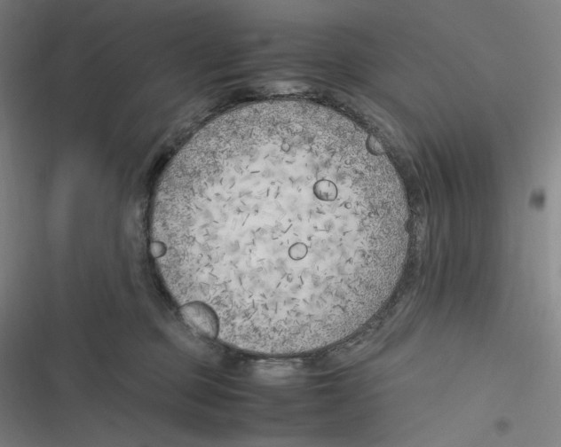 X0000116620373201001081237