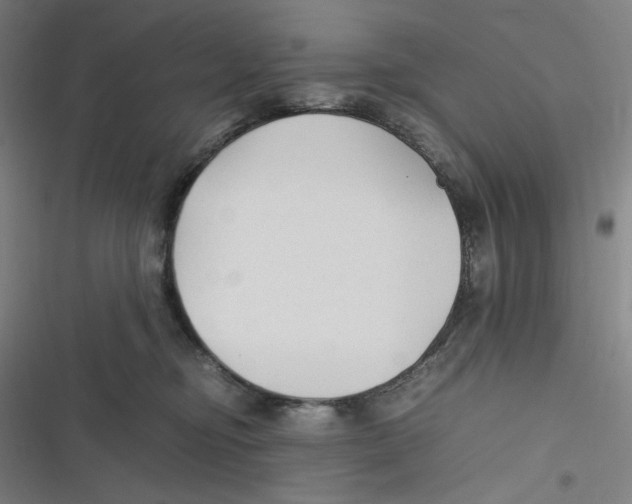 X0000116620374201001081237