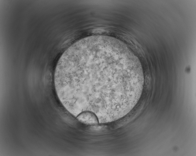 X0000116620375201001081237