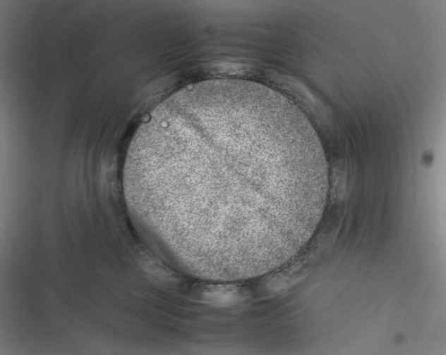 X0000116620377201001081237