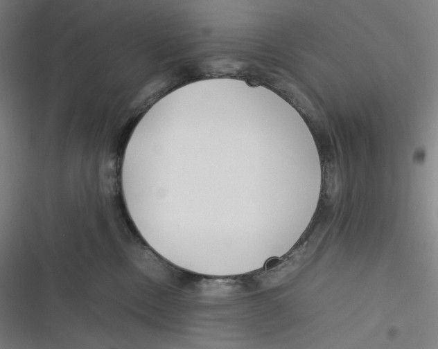 X0000116620378201001081237