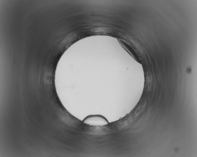 X0000116620379201001081237