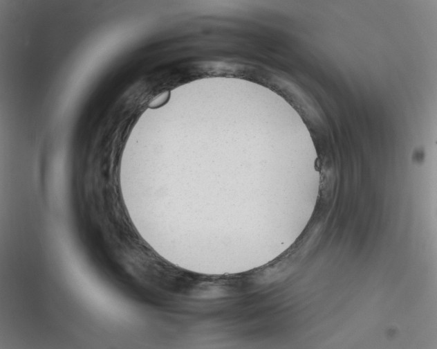 X0000116620381201001081237