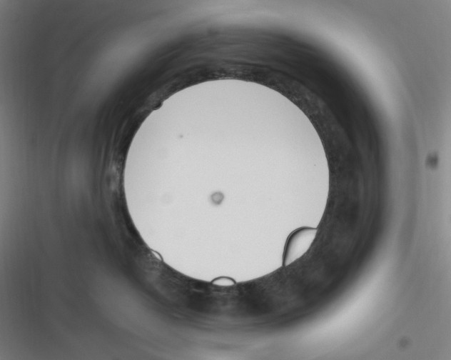 X0000116620382201001081237