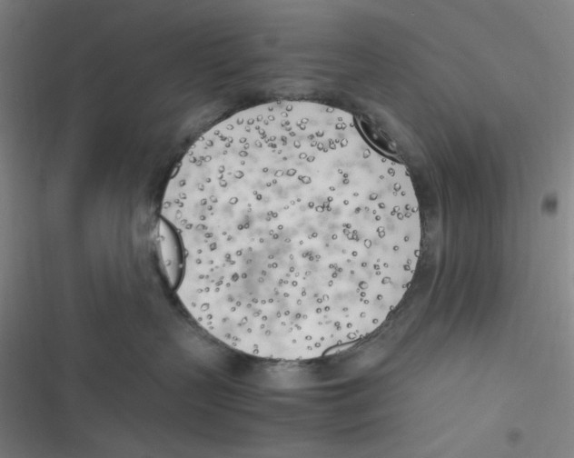 X0000116620383201001081237