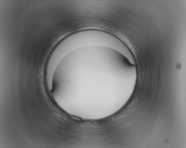 X0000116620386201001081236