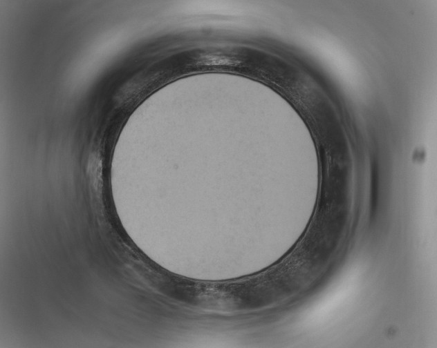 X0000116620387201001081236