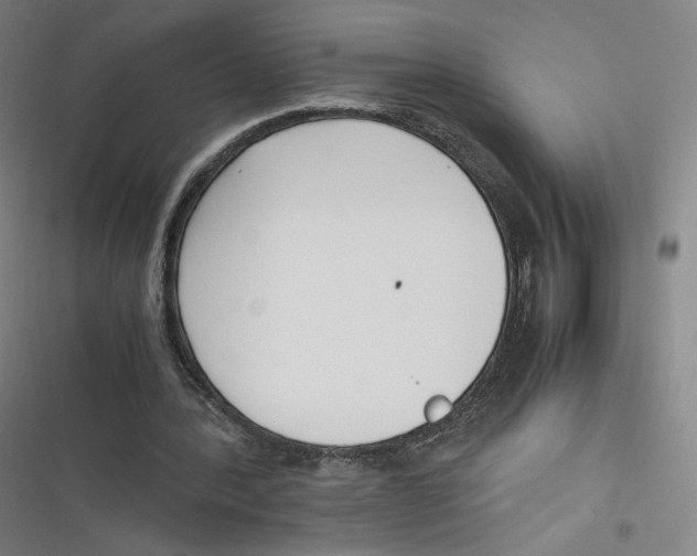 X0000116620388201001081236