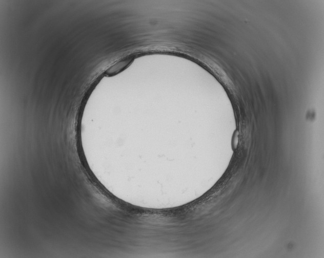 X0000116620389201001081236