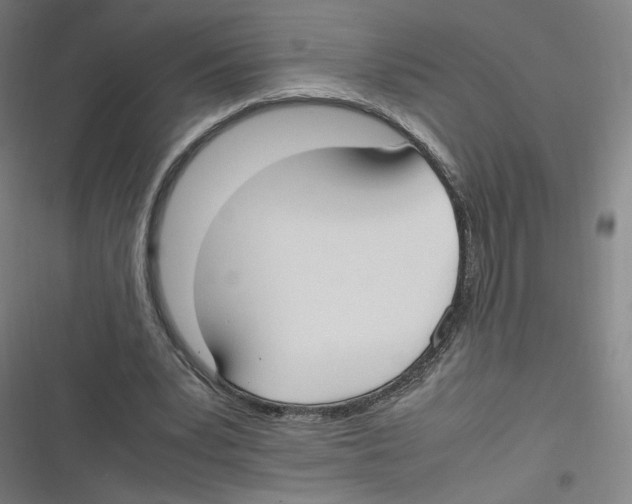 X0000116620391201001081236