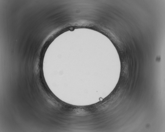 X0000116620392201001081236