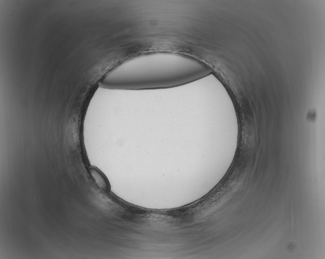 X0000116620393201001081236