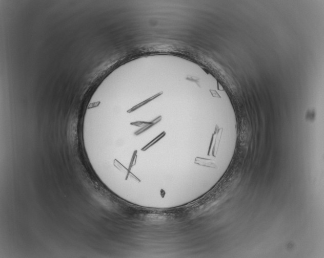 X0000116620394201001081236