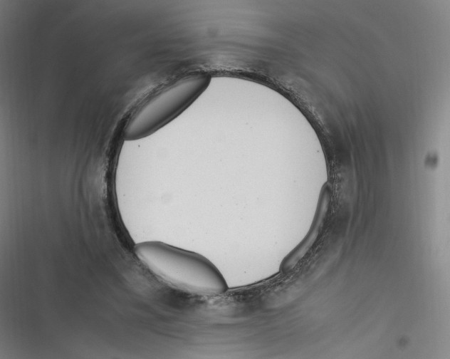 X0000116620395201001081236