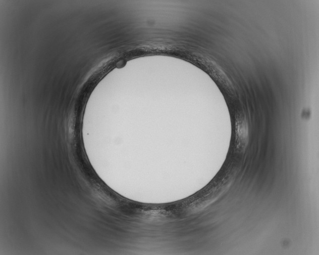 X0000116620396201001081236