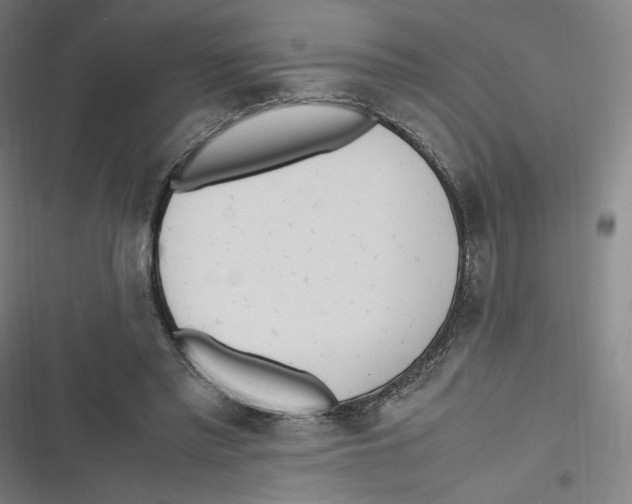 X0000116620397201001081236