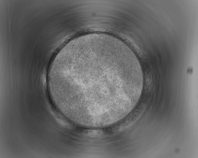 X0000116620398201001081236