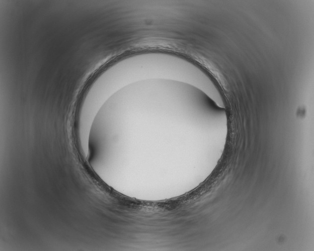 X0000116620399201001081236