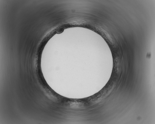 X0000116620400201001081236