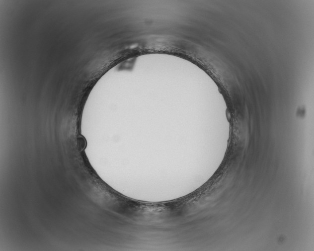 X0000116620401201001081236