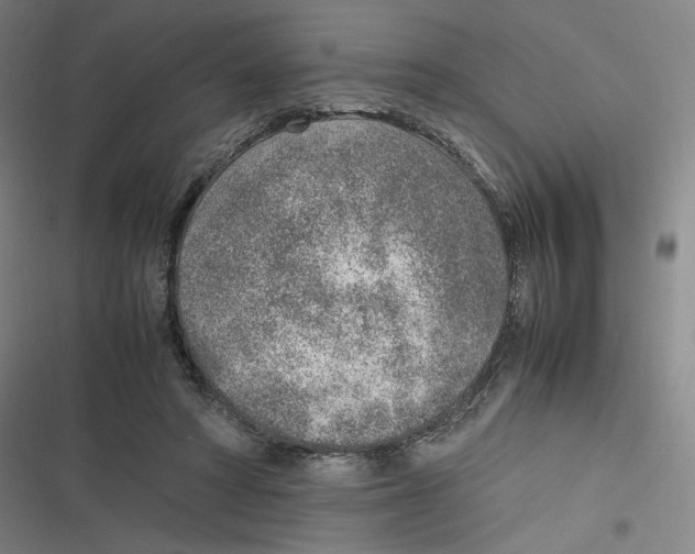 X0000116620402201001081236