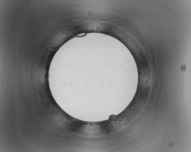 X0000116620403201001081236