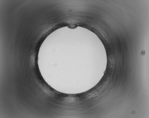 X0000116620404201001081236