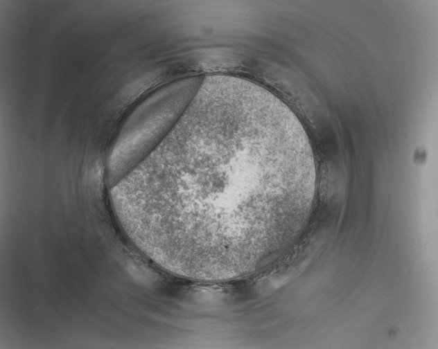 X0000116620405201001081236