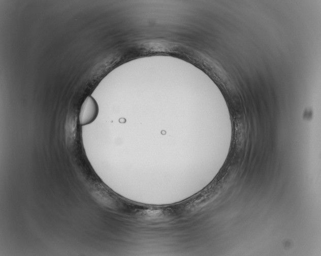 X0000116620406201001081236