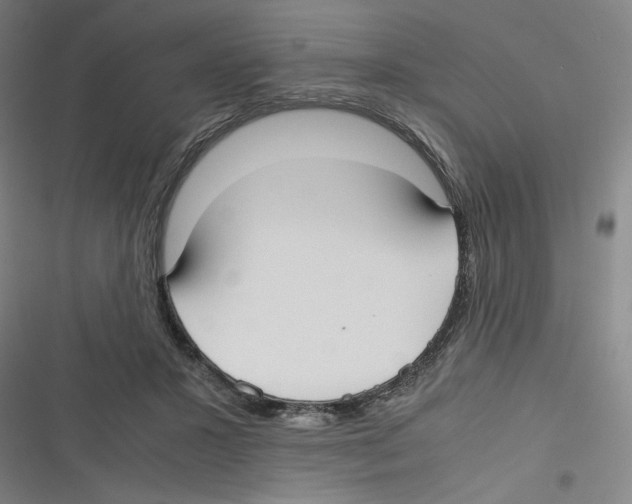 X0000116620407201001081236