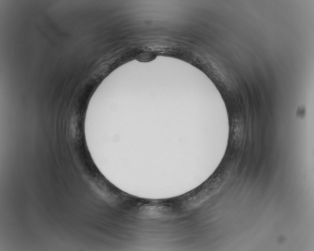 X0000116620408201001081236