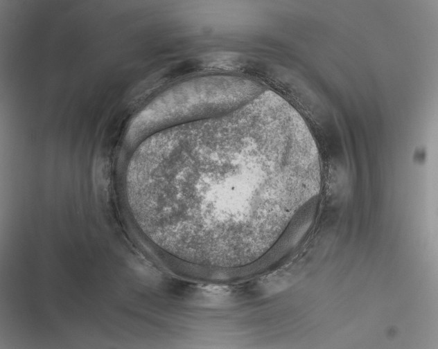 X0000116620409201001081236