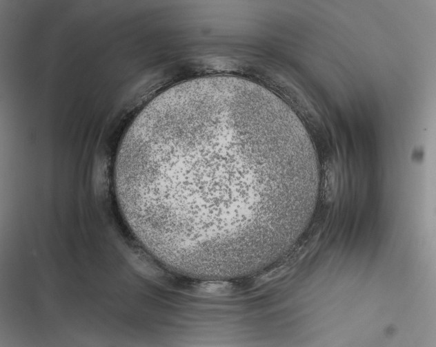 X0000116620410201001081236