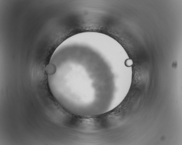 X0000116620411201001081236