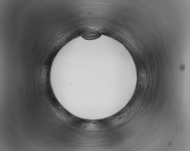 X0000116620412201001081236