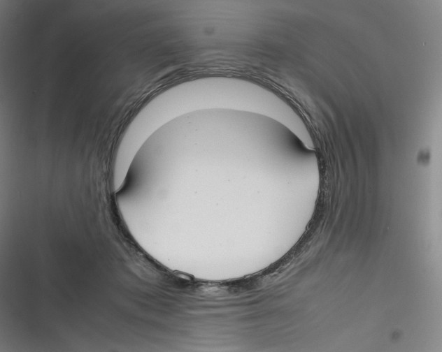 X0000116620413201001081236