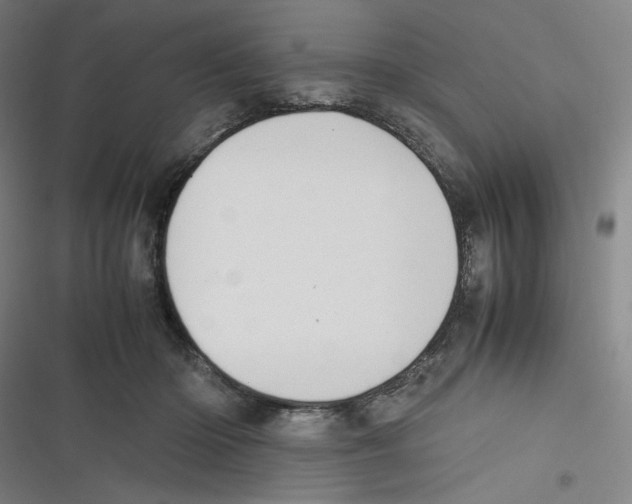 X0000116620414201001081236