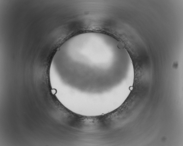 X0000116620415201001081236