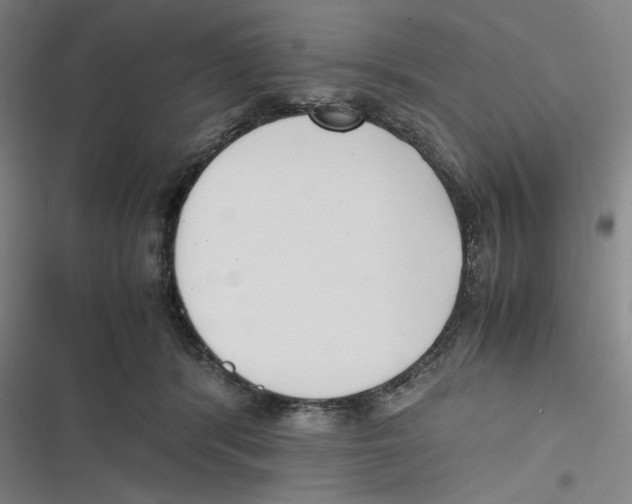 X0000116620416201001081236