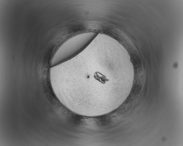 X0000116620417201001081236