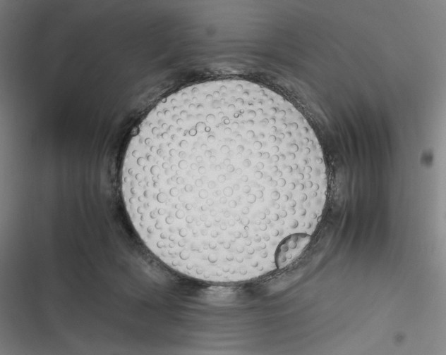 X0000116620418201001081236