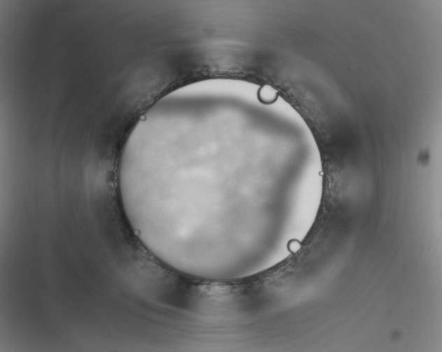 X0000116620419201001081236