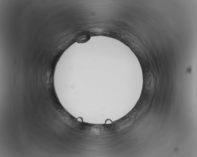 X0000116620420201001081236