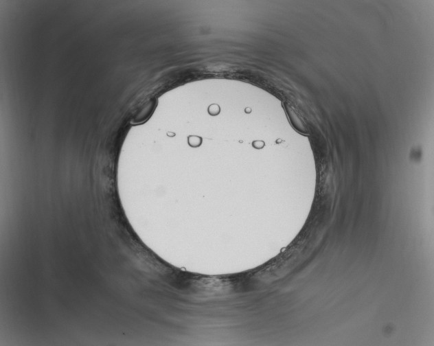 X0000116620421201001081236