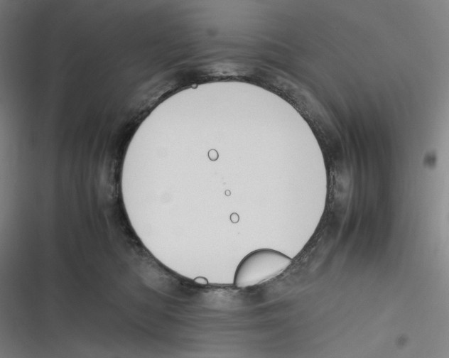 X0000116620422201001081236