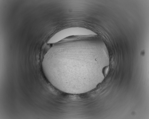 X0000116620424201001081235