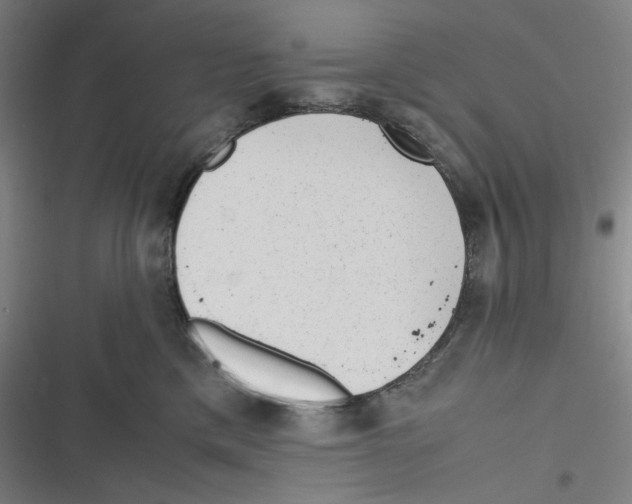 X0000116620425201001081235