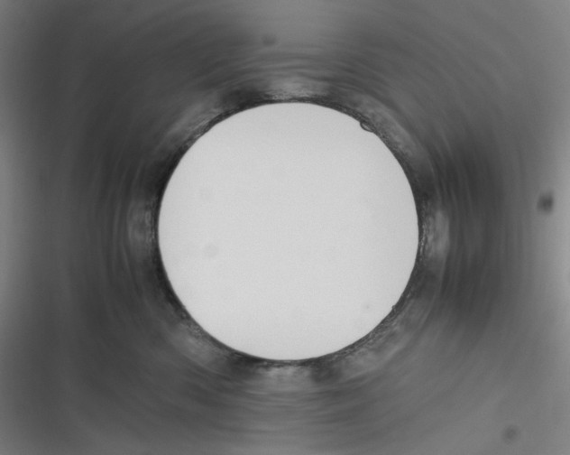 X0000116620426201001081235