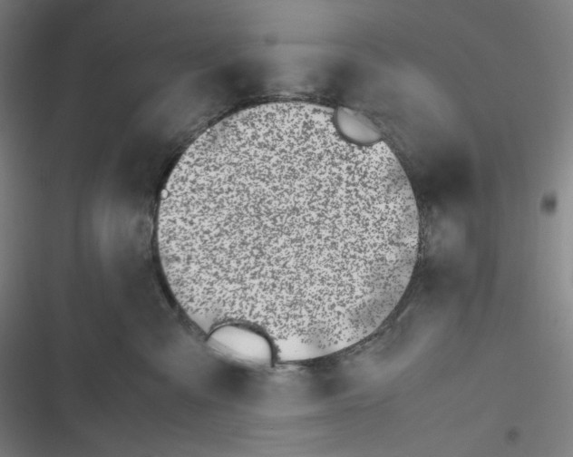 X0000116620427201001081235