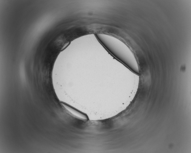 X0000116620429201001081235